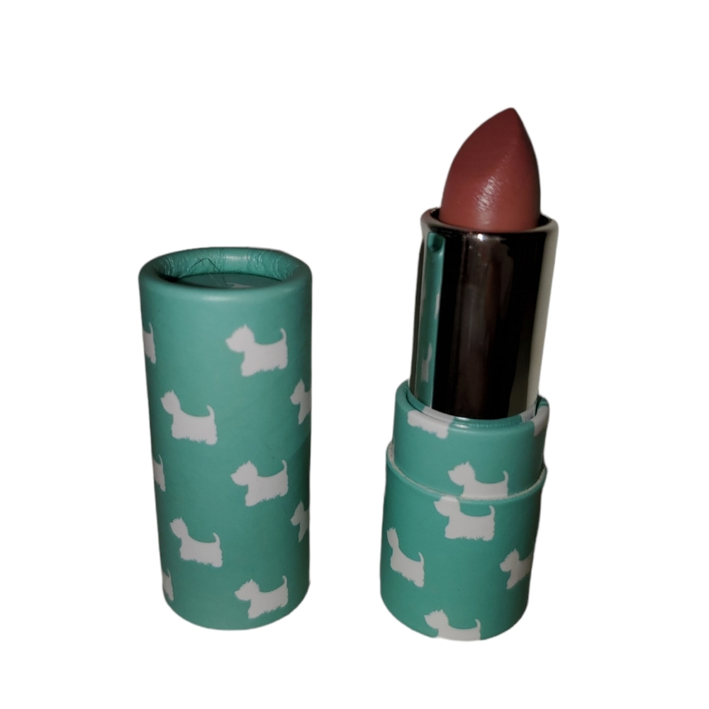 NWOT Color the world lipstick